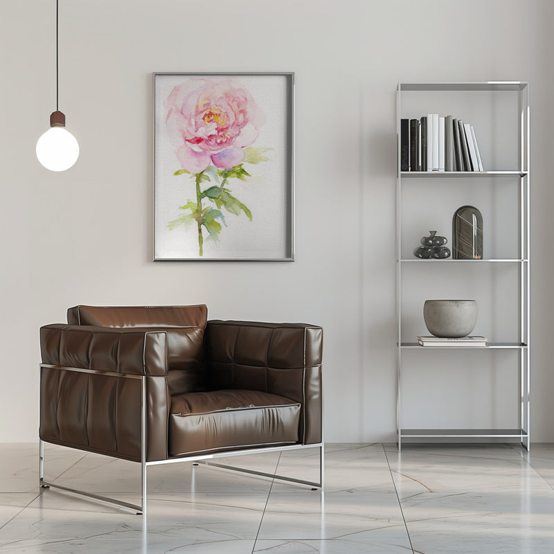 Peony November - Stretched Canvas, Poster or Fine Art Print I Heart Wall Art