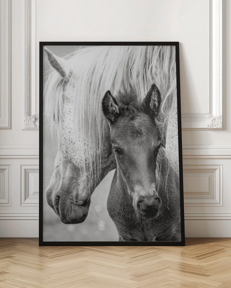 The Foal - Stretched Canvas, Poster or Fine Art Print I Heart Wall Art