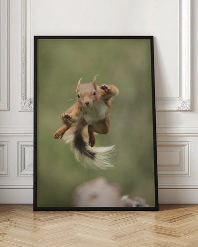 Ninja dancing - Stretched Canvas, Poster or Fine Art Print I Heart Wall Art