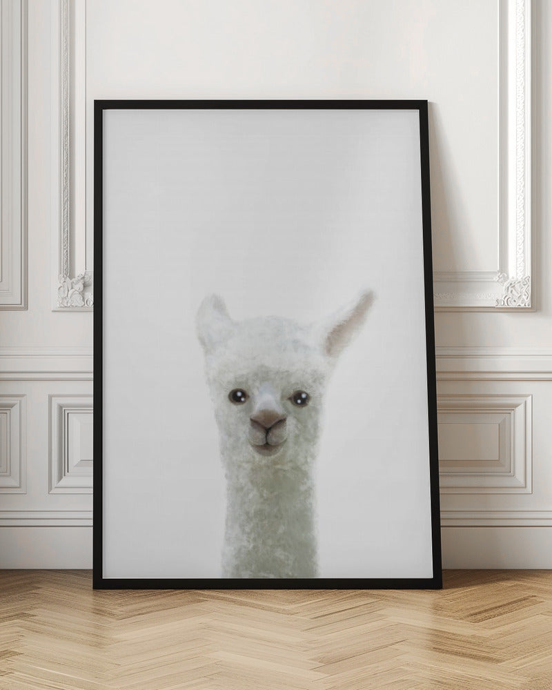 Llama - Stretched Canvas, Poster or Fine Art Print I Heart Wall Art