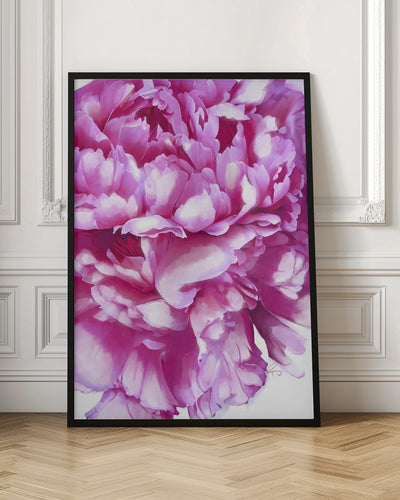 Pink Peony - Stretched Canvas, Poster or Fine Art Print I Heart Wall Art