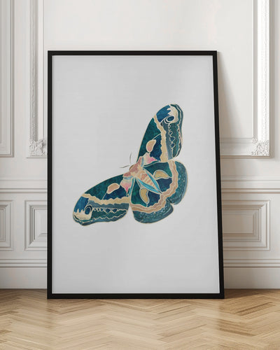 Green White Moth Butterfly - Stretched Canvas, Poster or Fine Art Print I Heart Wall Art