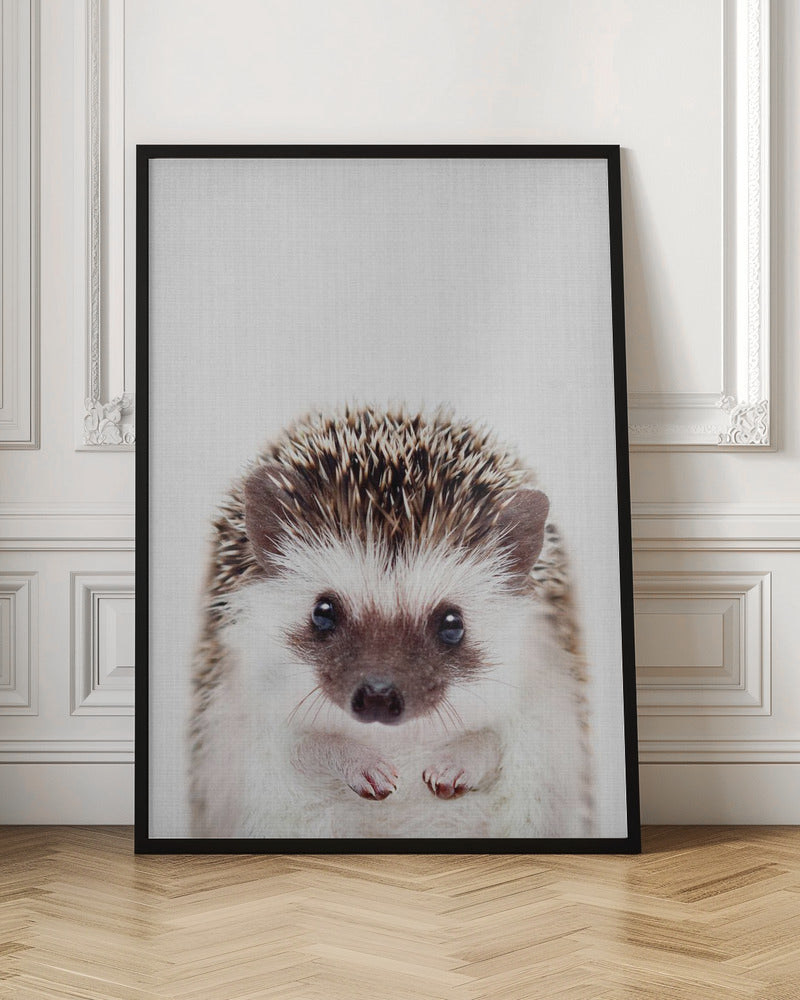 Peekaboo Hedgehog - Stretched Canvas, Poster or Fine Art Print I Heart Wall Art