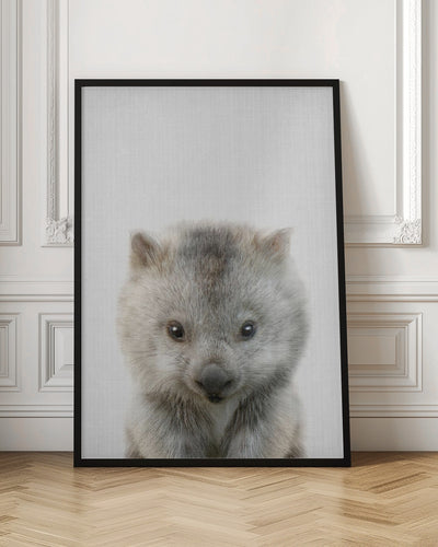 Peekaboo Baby Wombat - Stretched Canvas, Poster or Fine Art Print I Heart Wall Art