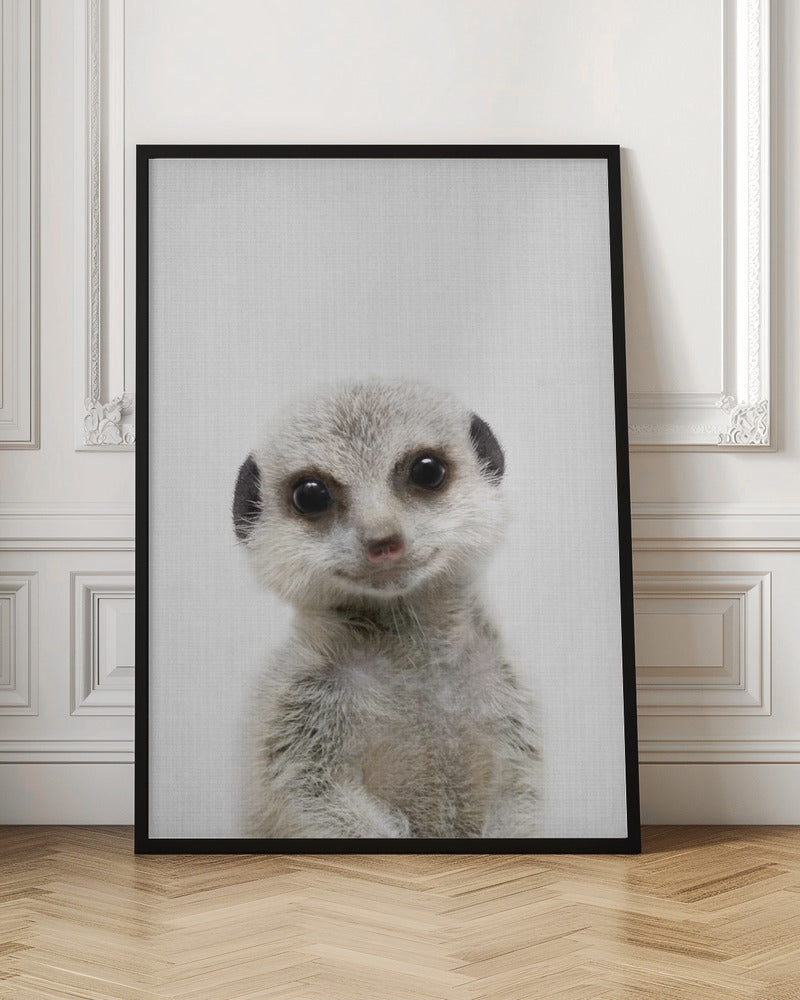 Peekaboo Baby Meerkat - Stretched Canvas, Poster or Fine Art Print I Heart Wall Art