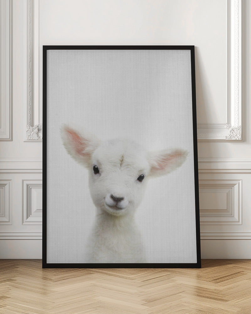 Peekaboo Baby Sheep - Stretched Canvas, Poster or Fine Art Print I Heart Wall Art