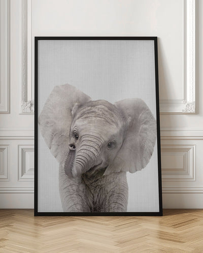 Peekaboo Baby Elephant - Stretched Canvas, Poster or Fine Art Print I Heart Wall Art