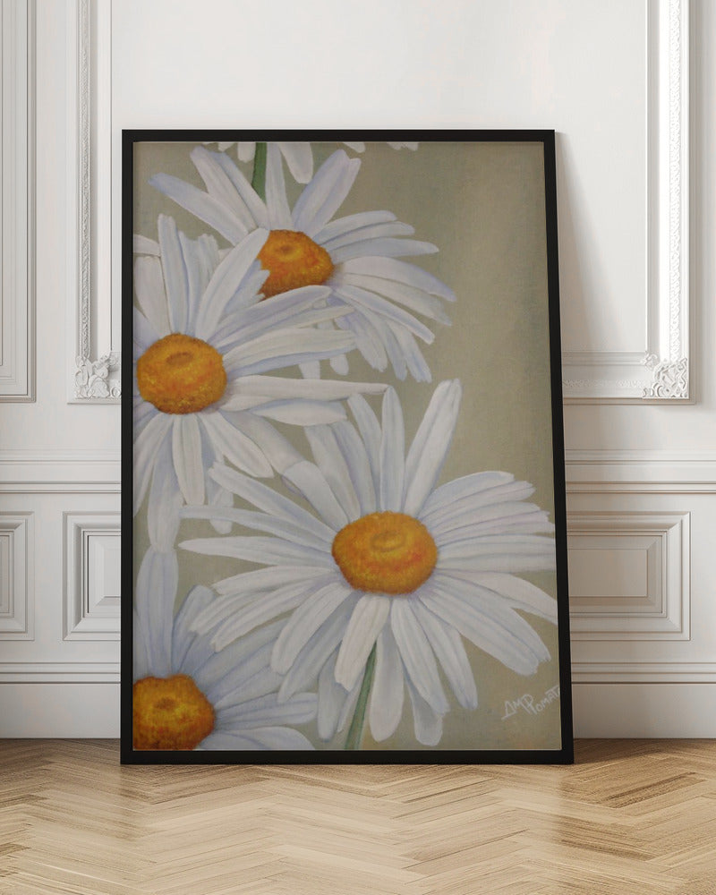 White Daisies - Stretched Canvas, Poster or Fine Art Print I Heart Wall Art