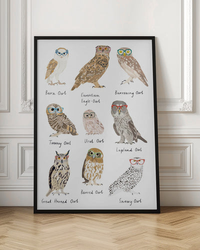 Owls In Glasses Print - Stretched Canvas, Poster or Fine Art Print I Heart Wall Art