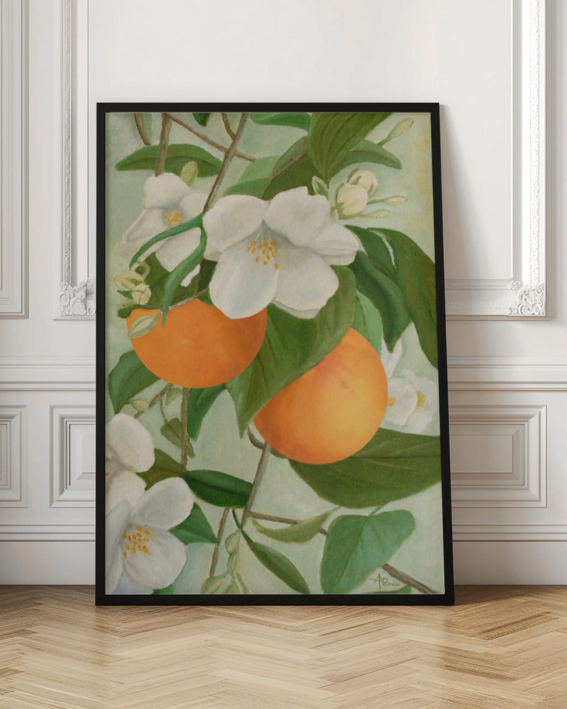 Branch of Orange Tree In Bloom - Stretched Canvas, Poster or Fine Art Print I Heart Wall Art