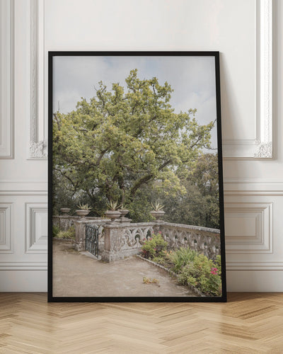 Botanical Garden - Stretched Canvas, Poster or Fine Art Print I Heart Wall Art