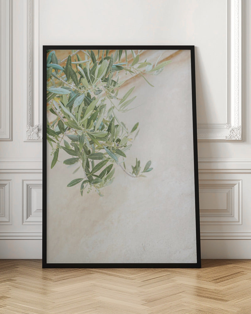 Olive Tree Leaves - Stretched Canvas, Poster or Fine Art Print I Heart Wall Art