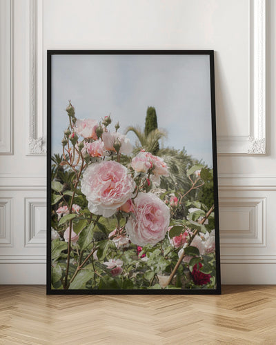 Garden Roses - Stretched Canvas, Poster or Fine Art Print I Heart Wall Art