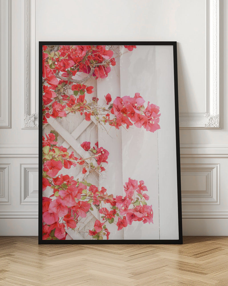 White &amp; Pink - Stretched Canvas, Poster or Fine Art Print I Heart Wall Art