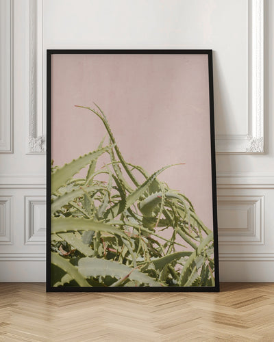 Cacti on Pink - Stretched Canvas, Poster or Fine Art Print I Heart Wall Art