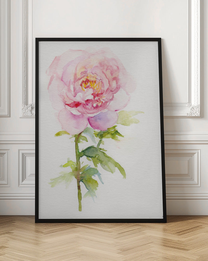 Peony November - Stretched Canvas, Poster or Fine Art Print I Heart Wall Art
