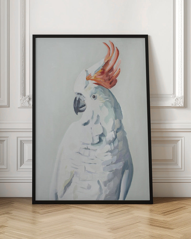 White Cockadoo - Stretched Canvas, Poster or Fine Art Print I Heart Wall Art