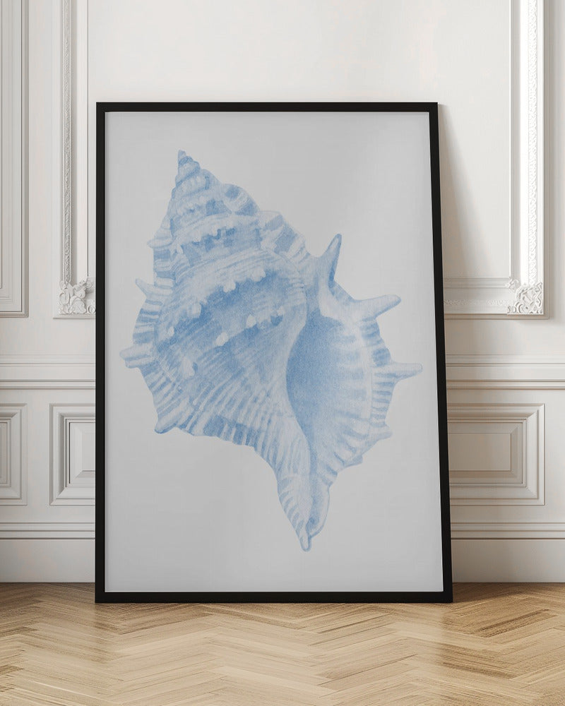 One Blue Conch - Stretched Canvas, Poster or Fine Art Print I Heart Wall Art