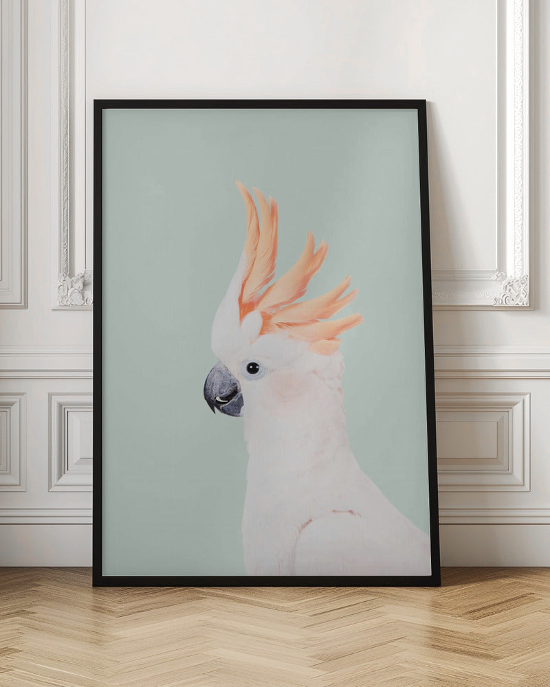 Cockatoo on Mint - Stretched Canvas, Poster or Fine Art Print I Heart Wall Art