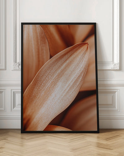 Leafdetail - Stretched Canvas, Poster or Fine Art Print I Heart Wall Art