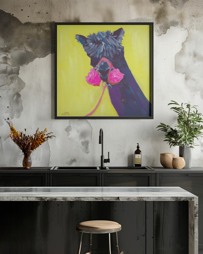 Black Alpaca - Square Stretched Canvas, Poster or Fine Art Print I Heart Wall Art