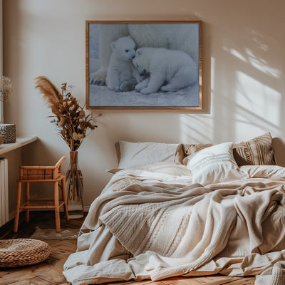 Polar bear cub - Stretched Canvas, Poster or Fine Art Print I Heart Wall Art