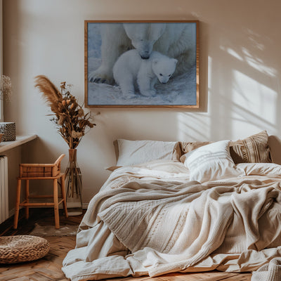 Polar bear portrait - Stretched Canvas, Poster or Fine Art Print I Heart Wall Art