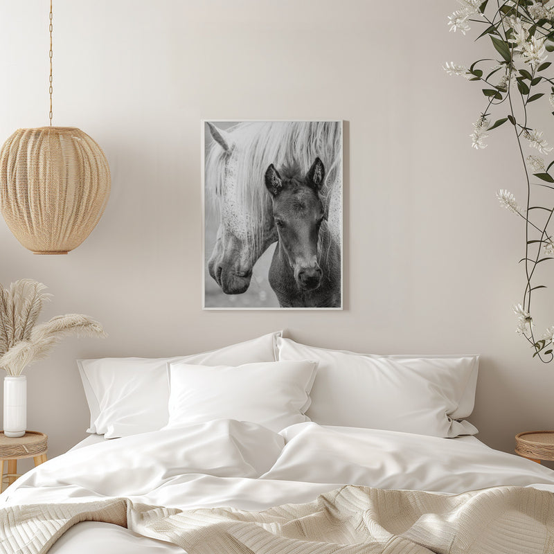 The Foal - Stretched Canvas, Poster or Fine Art Print I Heart Wall Art