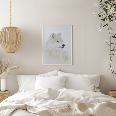 Portrait of an Arctic Wolf - Stretched Canvas, Poster or Fine Art Print I Heart Wall Art