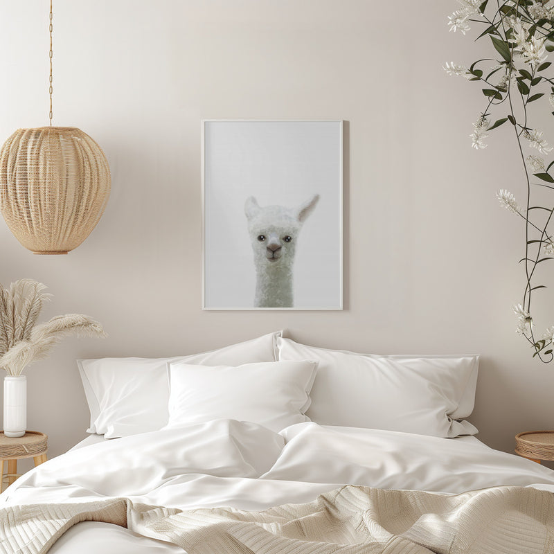 Llama - Stretched Canvas, Poster or Fine Art Print I Heart Wall Art