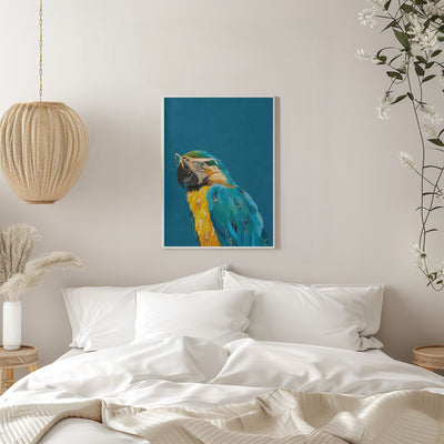 Vibrant macaw wearing glasses - Stretched Canvas, Poster or Fine Art Print I Heart Wall Art