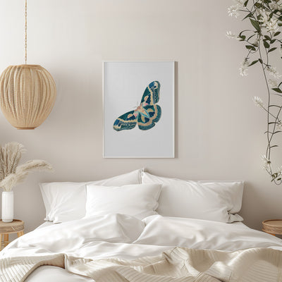 Green White Moth Butterfly - Stretched Canvas, Poster or Fine Art Print I Heart Wall Art