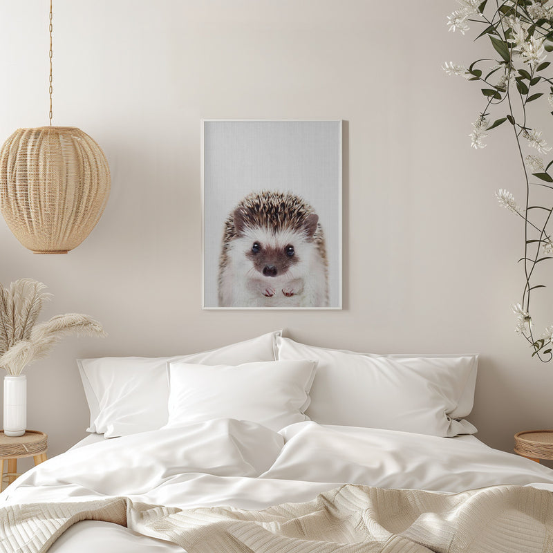 Peekaboo Hedgehog - Stretched Canvas, Poster or Fine Art Print I Heart Wall Art