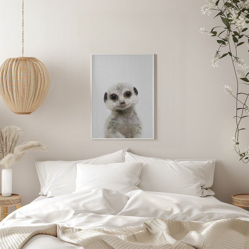 Peekaboo Baby Meerkat - Stretched Canvas, Poster or Fine Art Print I Heart Wall Art