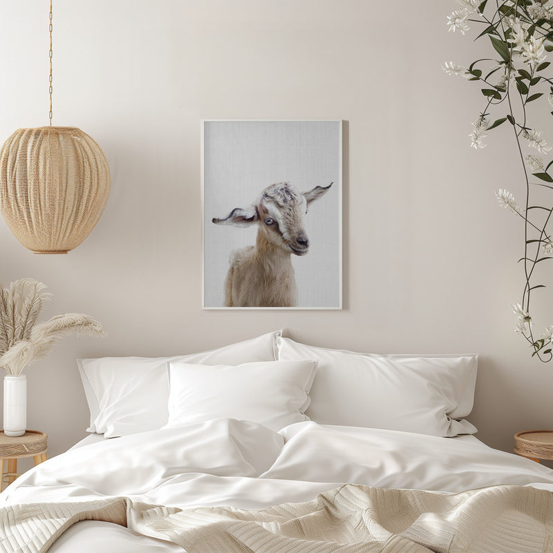 Peekaboo Baby Goat - Stretched Canvas, Poster or Fine Art Print I Heart Wall Art