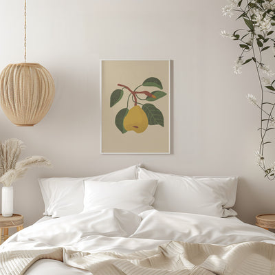 Pear - Stretched Canvas, Poster or Fine Art Print I Heart Wall Art