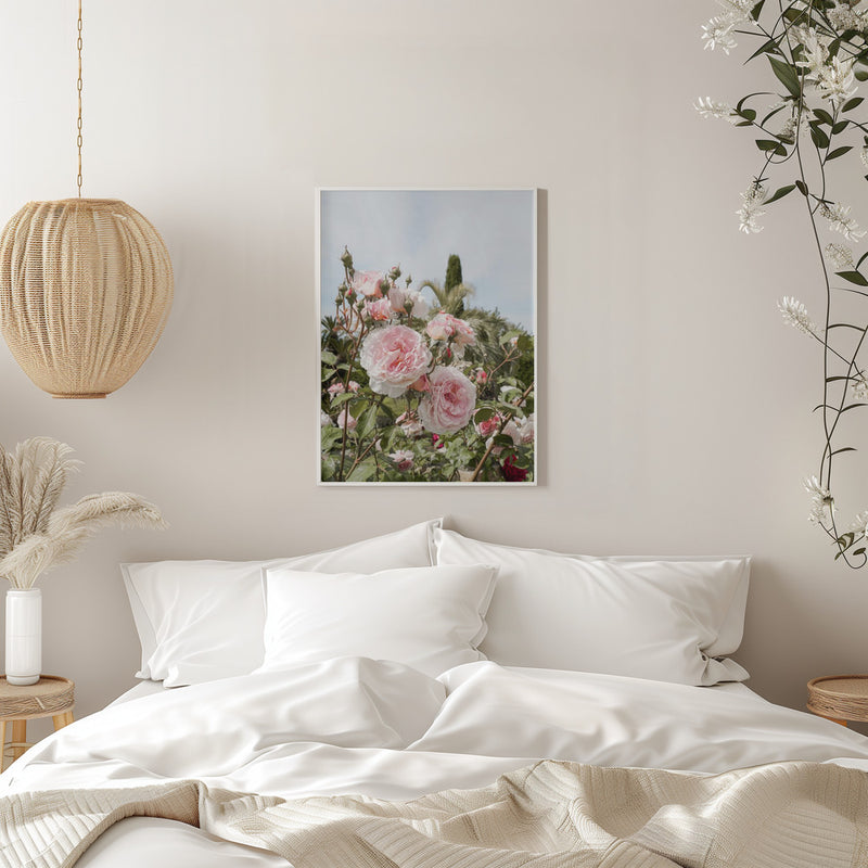 Garden Roses - Stretched Canvas, Poster or Fine Art Print I Heart Wall Art