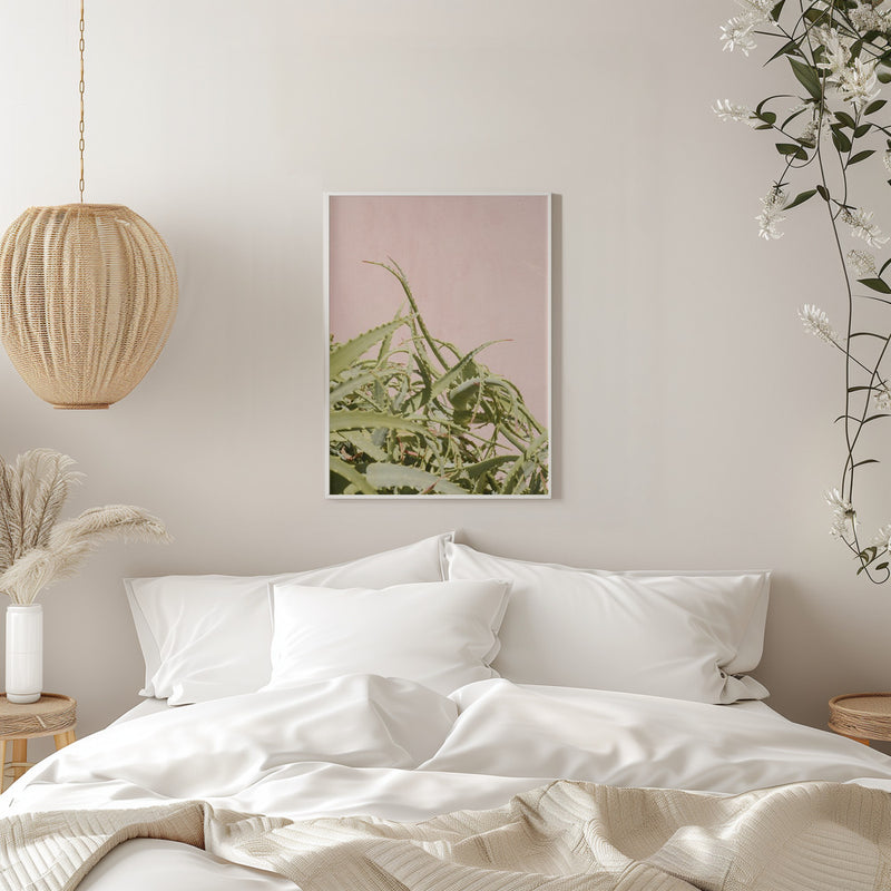 Cacti on Pink - Stretched Canvas, Poster or Fine Art Print I Heart Wall Art