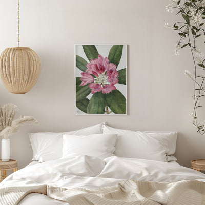 Mountain Rose Bay (1932) - Stretched Canvas, Poster or Fine Art Print I Heart Wall Art