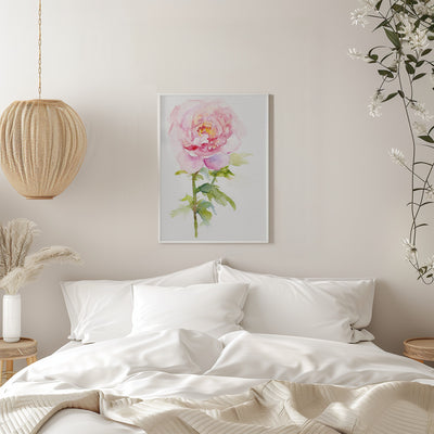 Peony November - Stretched Canvas, Poster or Fine Art Print I Heart Wall Art