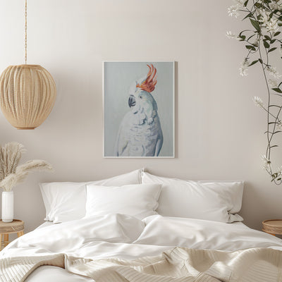 White Cockadoo - Stretched Canvas, Poster or Fine Art Print I Heart Wall Art