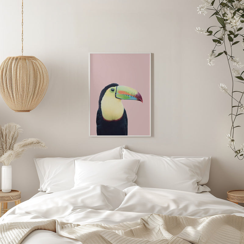 Toucan on Pink - Stretched Canvas, Poster or Fine Art Print I Heart Wall Art