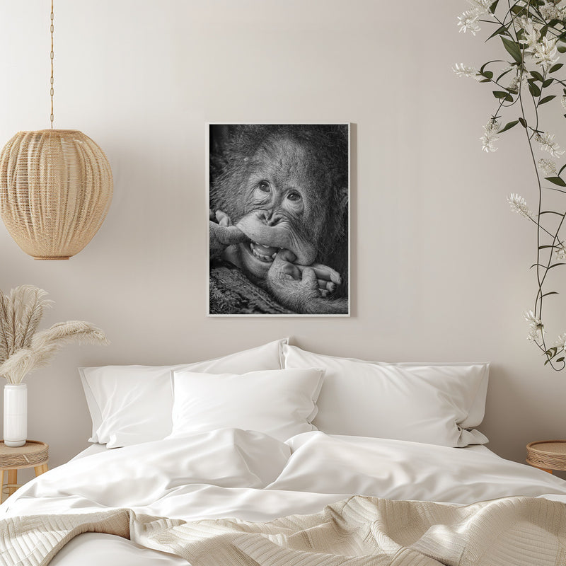 Big Smile.....please - Stretched Canvas, Poster or Fine Art Print I Heart Wall Art