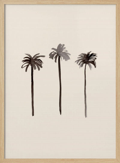 Palm Trees Ink - Stretched Canvas, Poster or Fine Art Print I Heart Wall Art