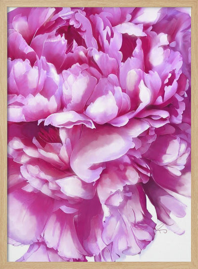 Pink Peony - Stretched Canvas, Poster or Fine Art Print I Heart Wall Art