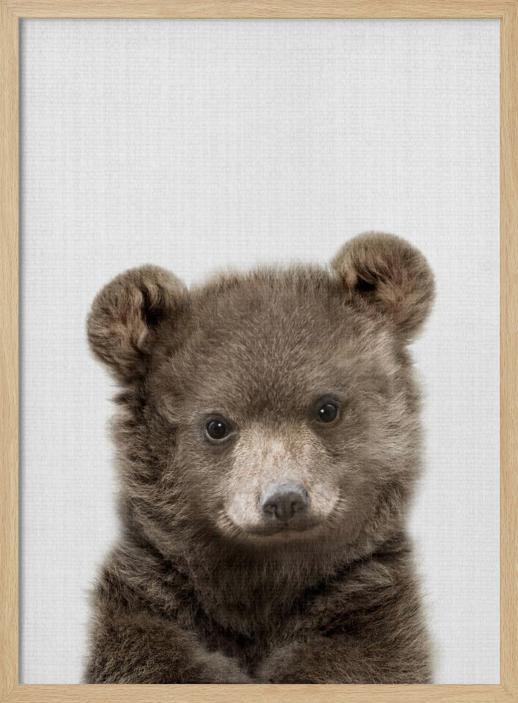 Peekaboo Baby Bear - Stretched Canvas, Poster or Fine Art Print I Heart Wall Art