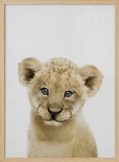 Peekaboo Baby Lion - Stretched Canvas, Poster or Fine Art Print I Heart Wall Art