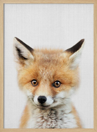 Peekaboo Baby Fox - Stretched Canvas, Poster or Fine Art Print I Heart Wall Art