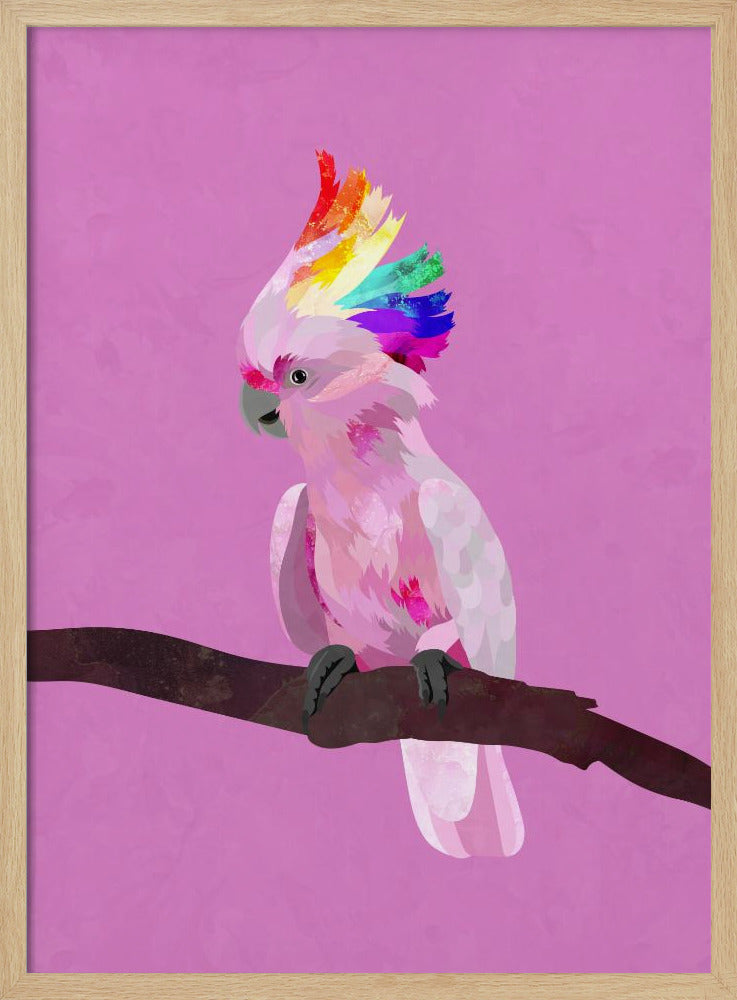 Pride Galah - Stretched Canvas, Poster or Fine Art Print I Heart Wall Art