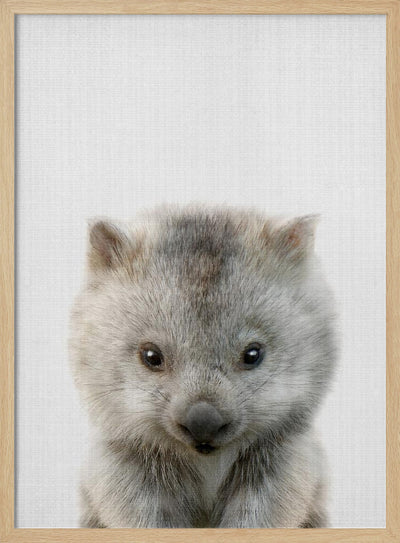 Peekaboo Baby Wombat - Stretched Canvas, Poster or Fine Art Print I Heart Wall Art